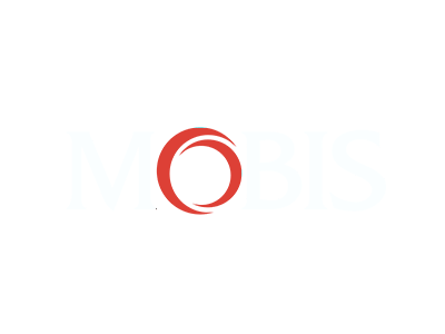 Mobis radio code